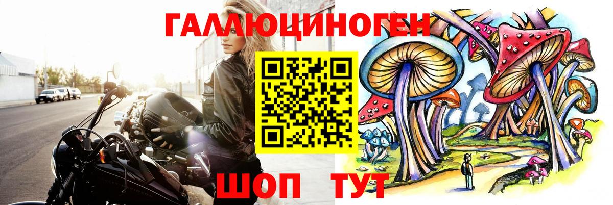 Обнинск  Галлюциногенные грибы прущие грибы  Вход с VPN 