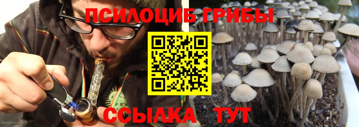 Псилоцибиновые грибы Magic Shrooms Обнинск